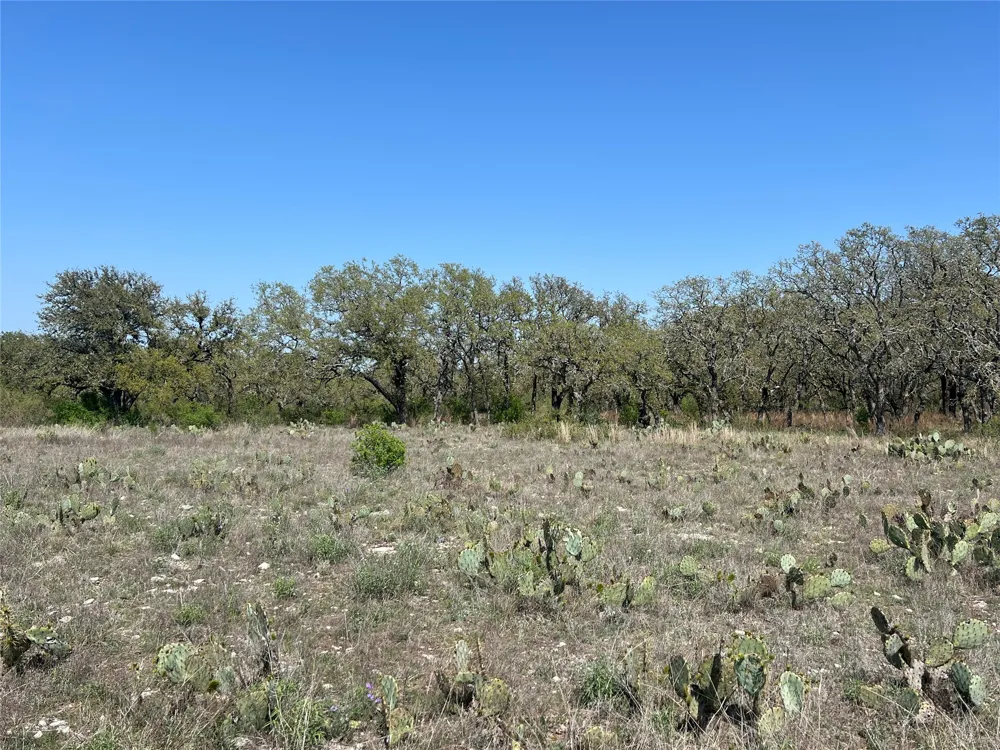 42 Waterbuck Way Lampasas, TX 76550