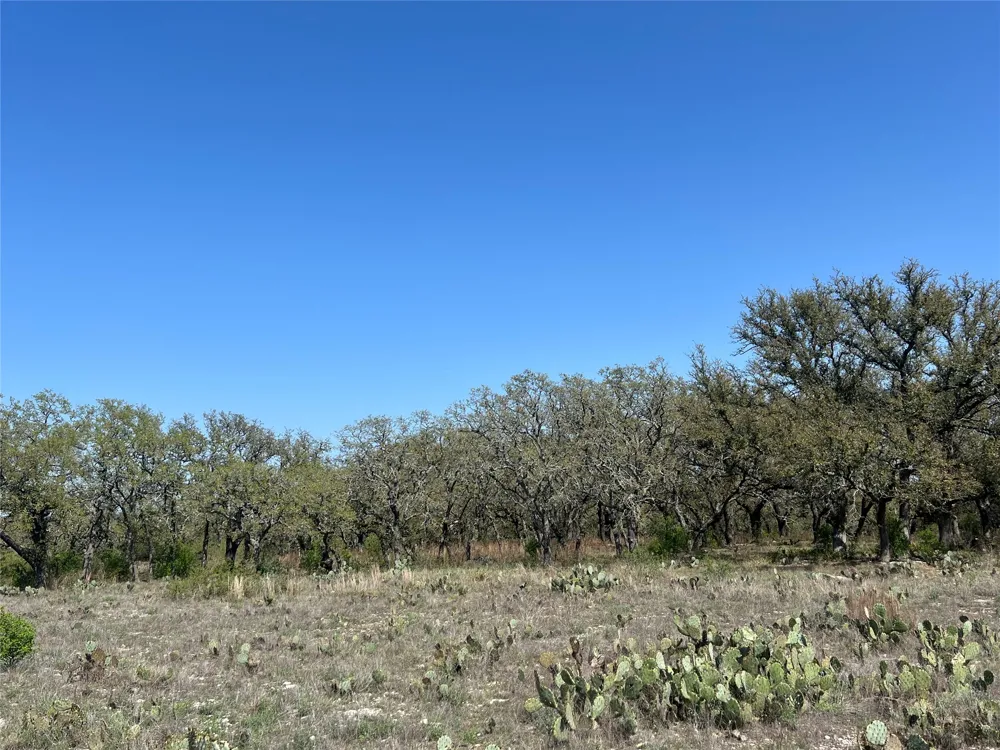 42 Waterbuck Way Lampasas, TX 76550