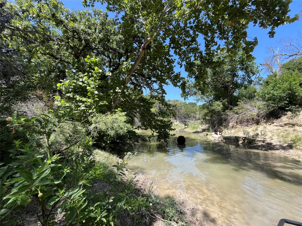 1115 CR 2732 Lometa, TX 76853