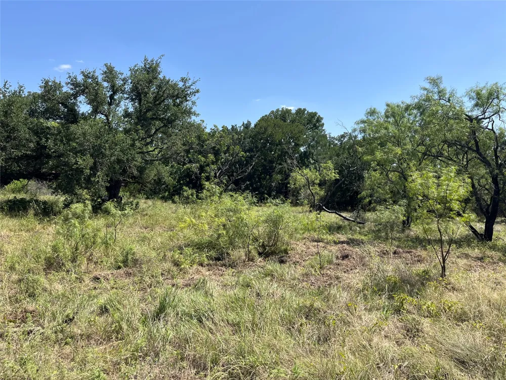 1115 CR 2732 Lometa, TX 76853