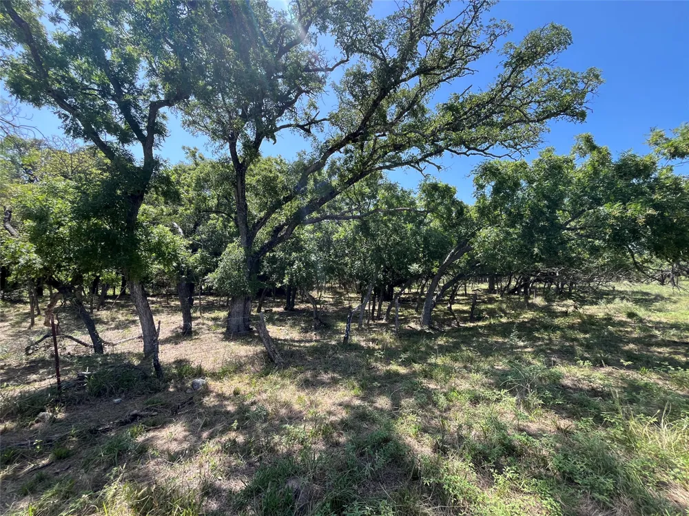 1115 CR 2732 Lometa, TX 76853