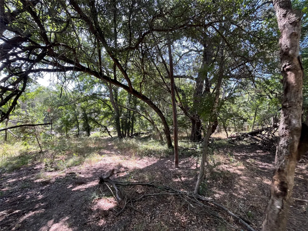 1115 CR 2732 Lometa, TX 76853