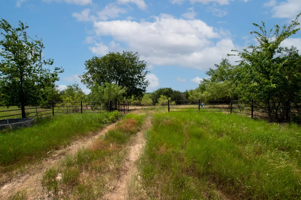 1115 CR 2732 Lometa, TX 76853