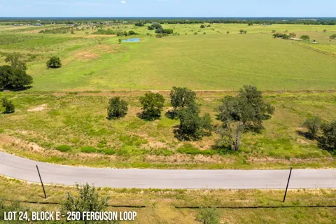 250 Ferguson Loop