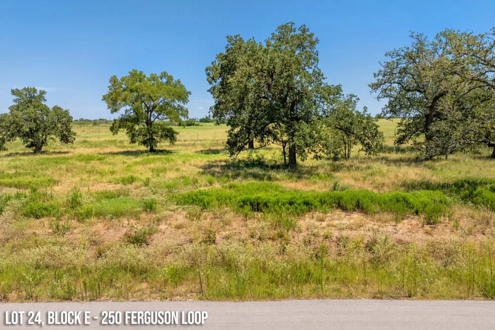 250 Ferguson Loop Dale, TX 78616