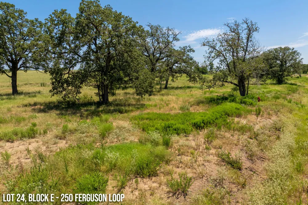 250 Ferguson Loop Dale, TX 78616