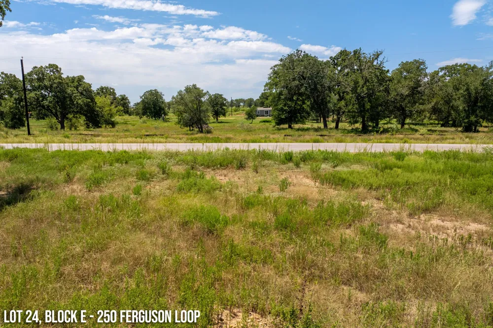 250 Ferguson Loop Dale, TX 78616