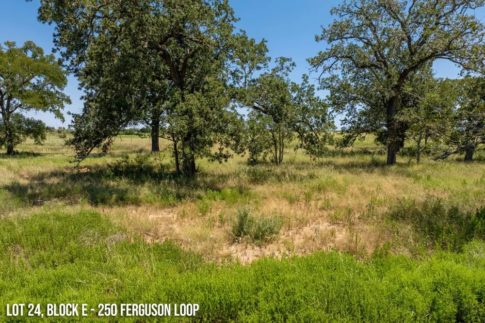 250 Ferguson Loop Dale, TX 78616