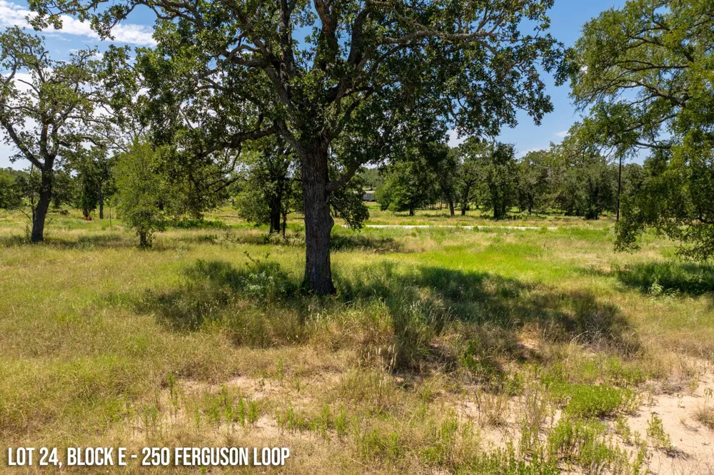 250 Ferguson Loop Dale, TX 78616