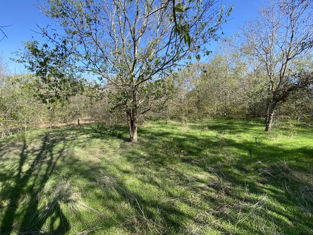 7603 Timber Hills Drive Del Valle, TX 78617