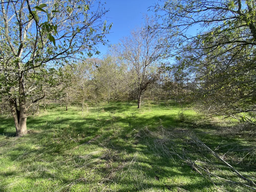 7603 Timber Hills Drive Del Valle, TX 78617