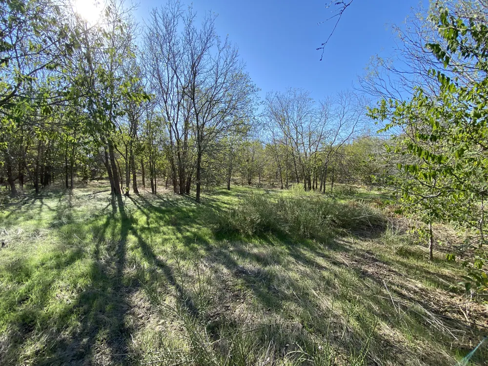 7603 Timber Hills Drive Del Valle, TX 78617