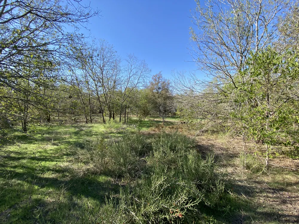 7603 Timber Hills Drive Del Valle, TX 78617