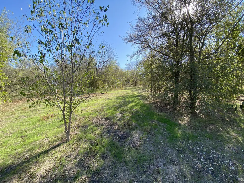 7603 Timber Hills Drive Del Valle, TX 78617