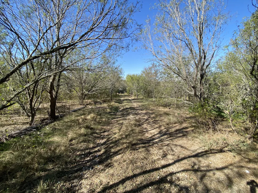 7603 Timber Hills Drive Del Valle, TX 78617