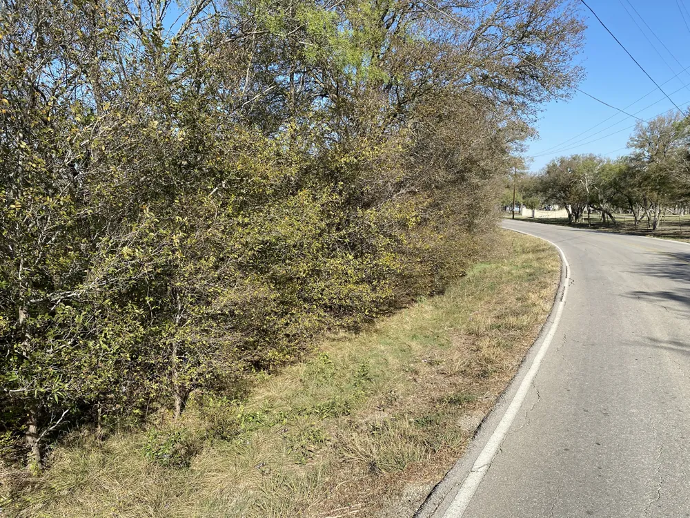 7603 Timber Hills Drive Del Valle, TX 78617