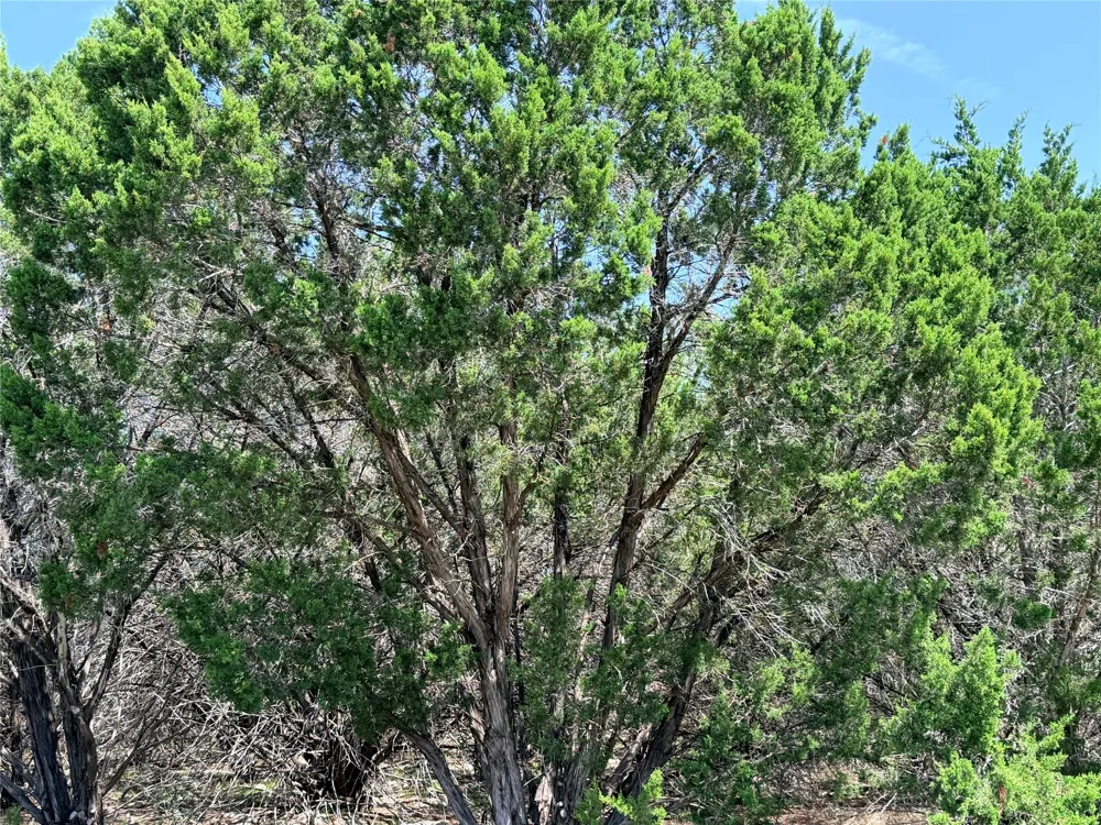250 Oak Knob Wimberley, TX 78676