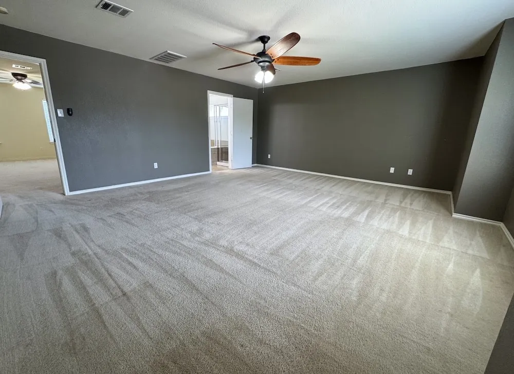 137 Firewheel Cove Kyle, TX 78640