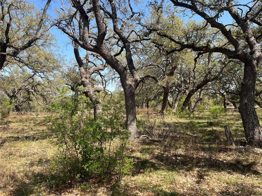 43 Waterbuck Way Lampasas, TX 76550