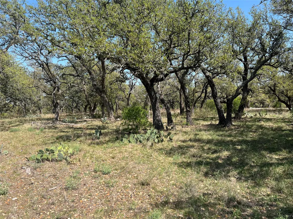 43 Waterbuck Way Lampasas, TX 76550