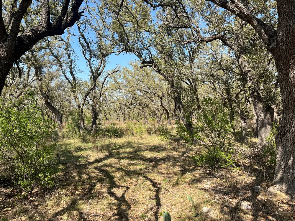 43 Waterbuck Way Lampasas, TX 76550