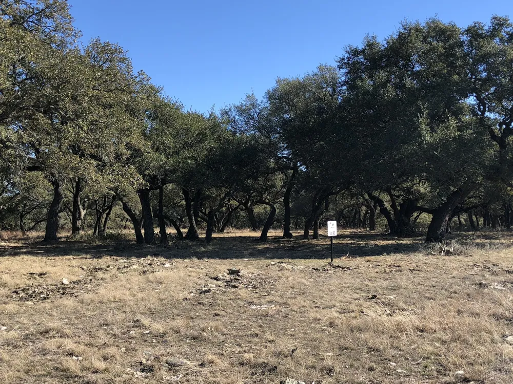 43 Waterbuck Way Lampasas, TX 76550