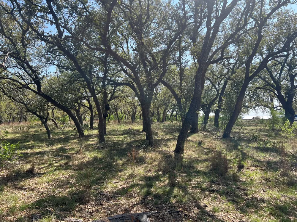 43 Waterbuck Way Lampasas, TX 76550