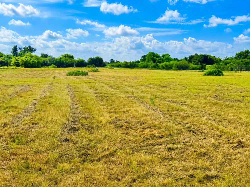 1155 FM 1600 Cameron, TX 76520