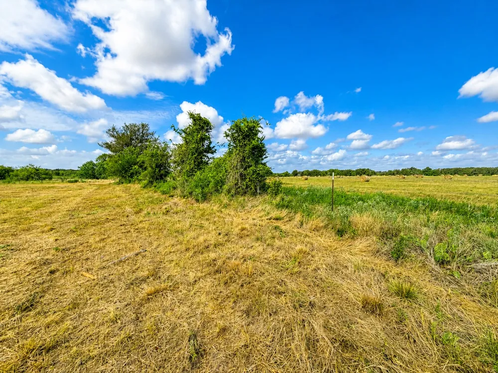 1155 FM 1600 Cameron, TX 76520