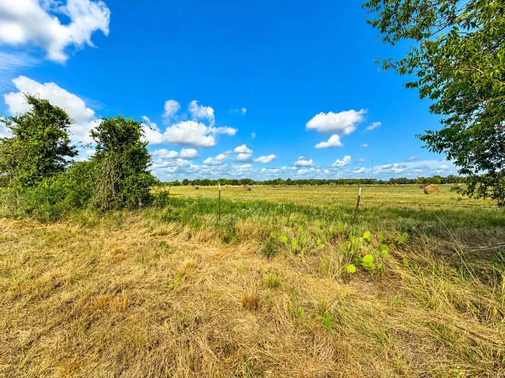 1155 FM 1600 Cameron, TX 76520