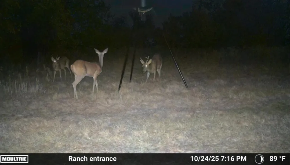 1155 FM 1600 Cameron, TX 76520