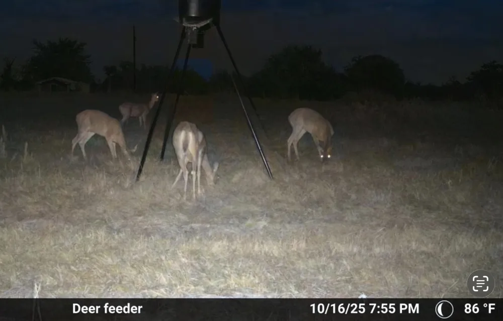 1155 FM 1600 Cameron, TX 76520