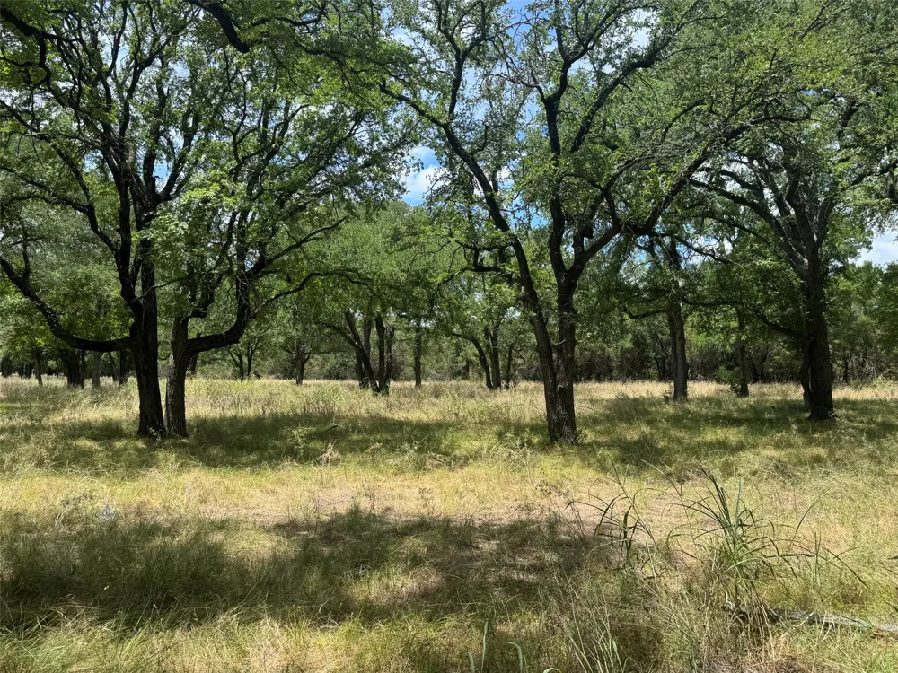 12291 Fm 2657 Kempner, TX 76539