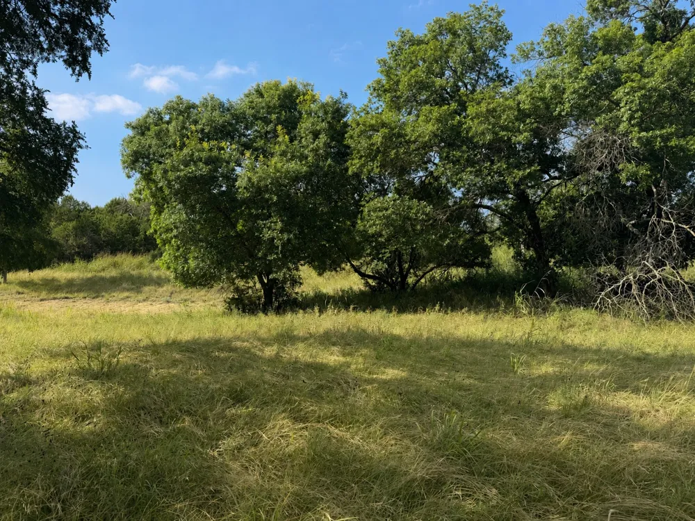12291 Fm 2657 Kempner, TX 76539