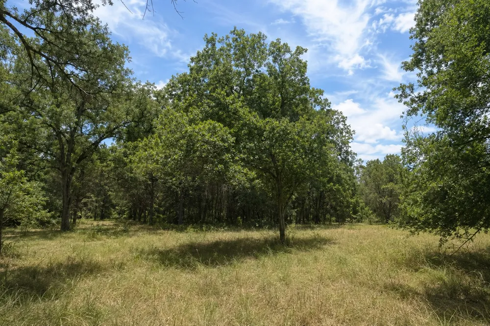 12291 Fm 2657 Kempner, TX 76539