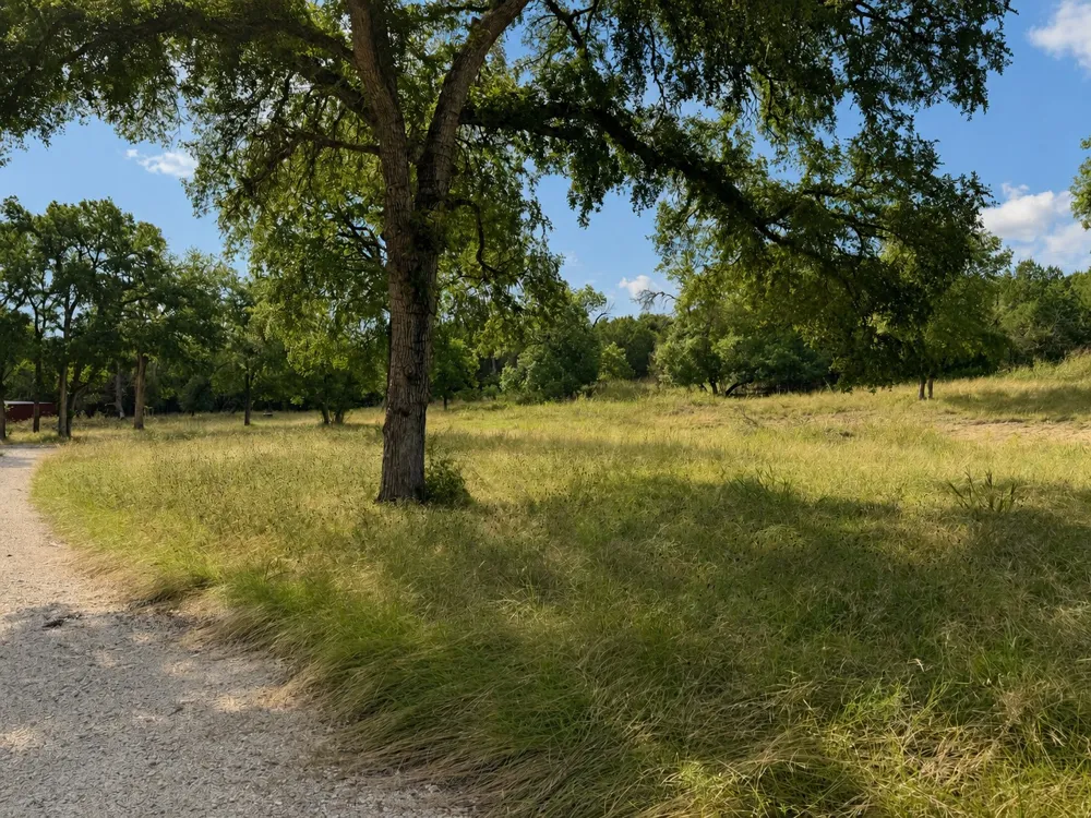 12291 Fm 2657 Kempner, TX 76539
