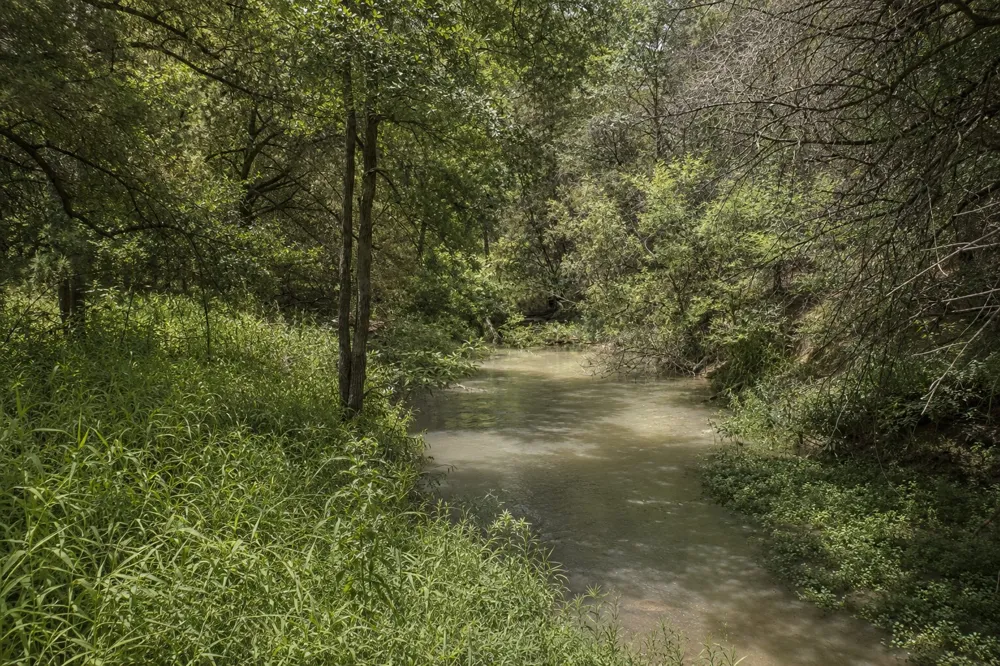 12291 Fm 2657 Kempner, TX 76539