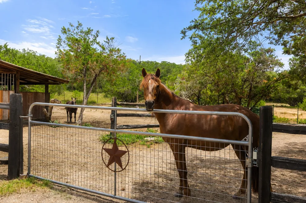 1906 Bee Creek Road Spicewood, TX 78669