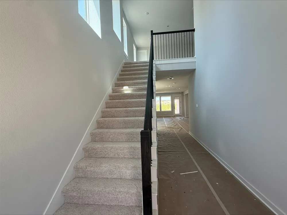 260 Bloomington Loop Hutto, TX 78634