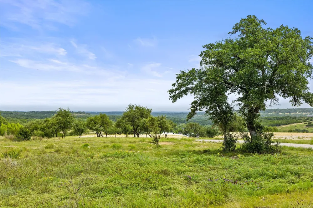 195 Lilly Belle Way Johnson City, TX 78636
