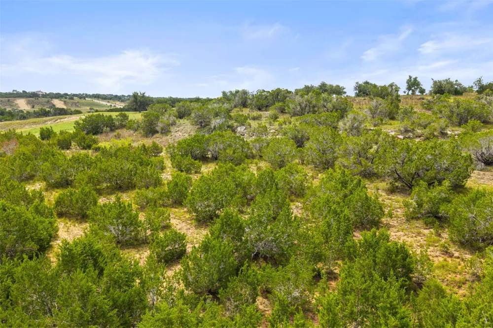 195 Lilly Belle Way Johnson City, TX 78636
