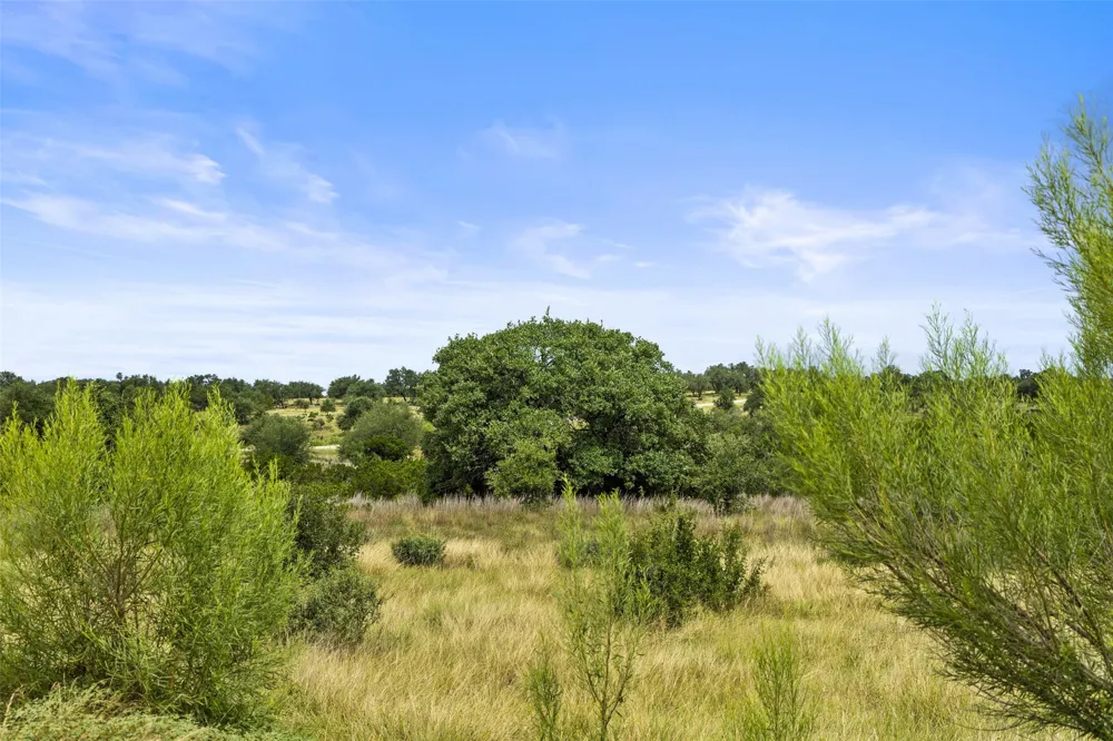 195 Lilly Belle Way Johnson City, TX 78636