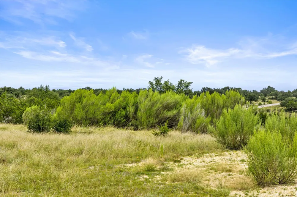 195 Lilly Belle Way Johnson City, TX 78636