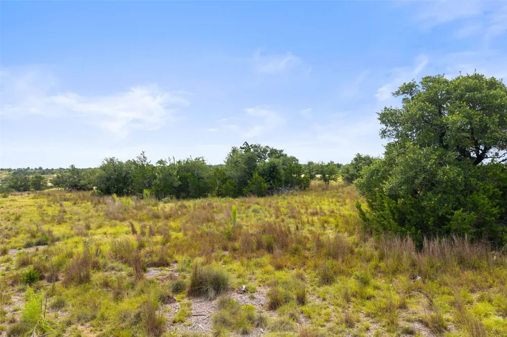 195 Lilly Belle Way Johnson City, TX 78636