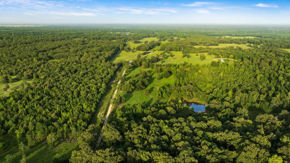 PR 43299 Powderly, TX 74743