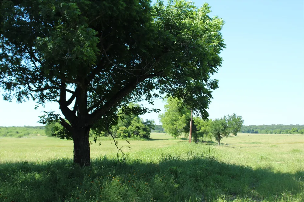 Hay Valley Road Gatesville, TX 76528