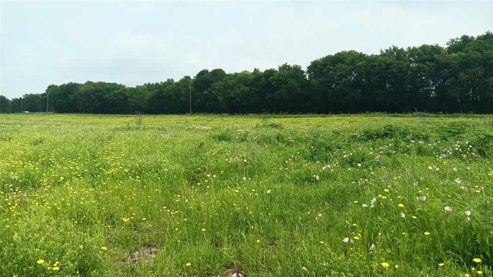 Hwy  7 Chilton, TX 76632