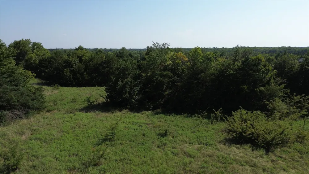 4770 County Road 2900 Dodd City, TX 75438