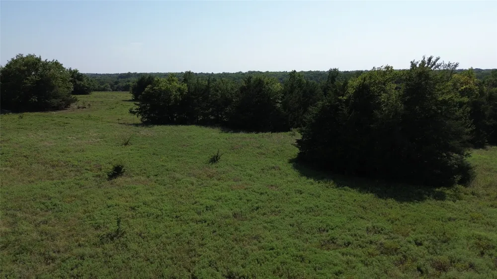 4770 County Road 2900 Dodd City, TX 75438