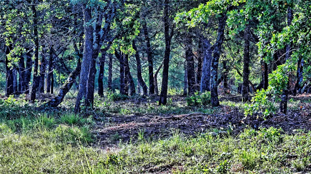 Preserve Court Sunset, TX 76270